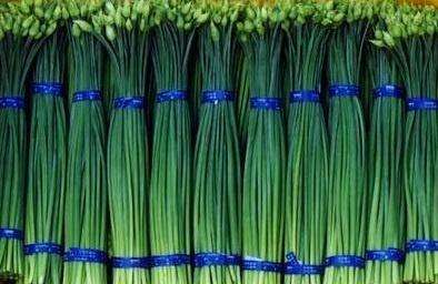 蔬菜膠帶